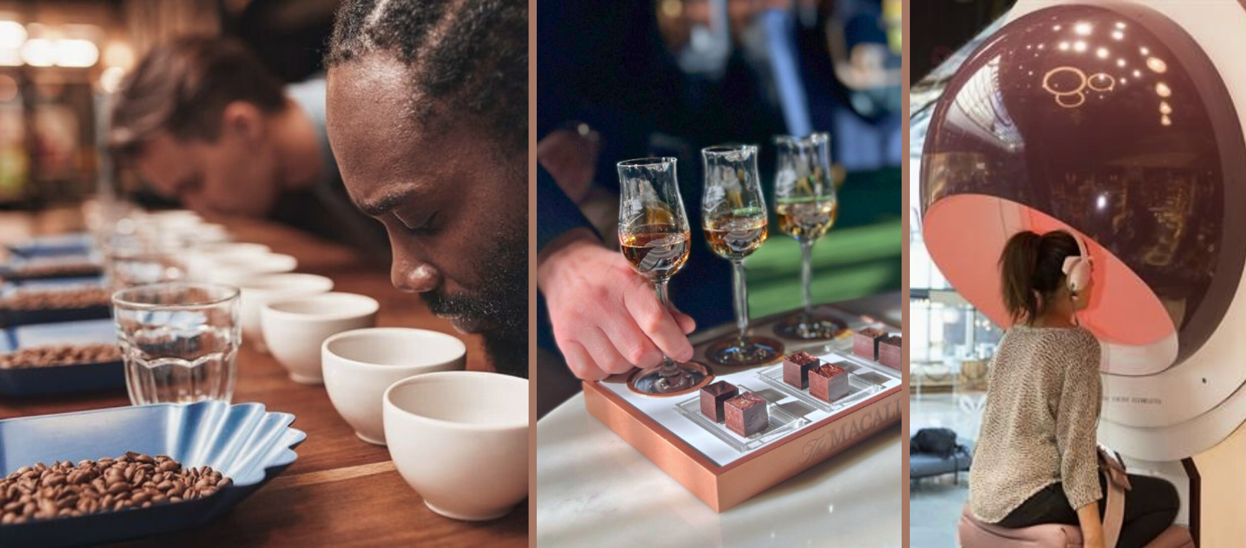 Aromatic Coffee Tasting Whiskey and Chocolate Flavor Pairing  Immersive Multisensory Tasting Experience