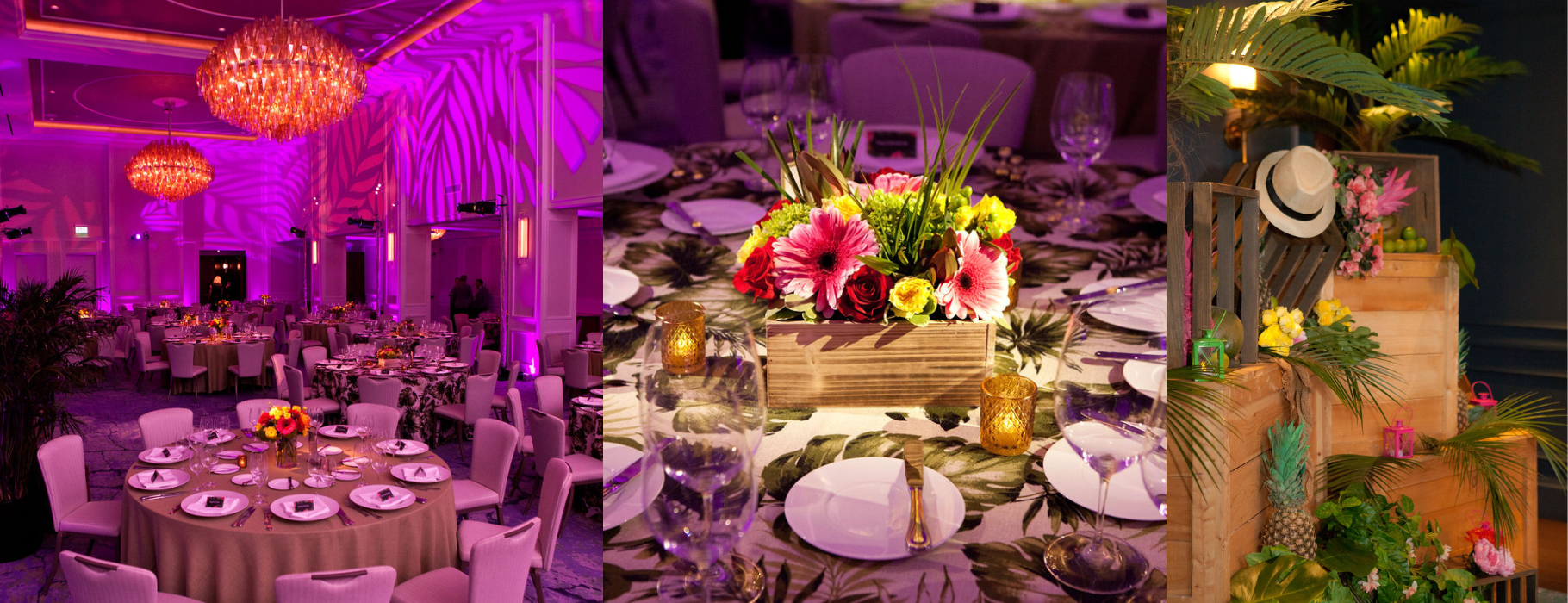 Guests enjoyed a tropical theme at The Newbury Boston on December 5th, complete with dazzling décor and lively dancing