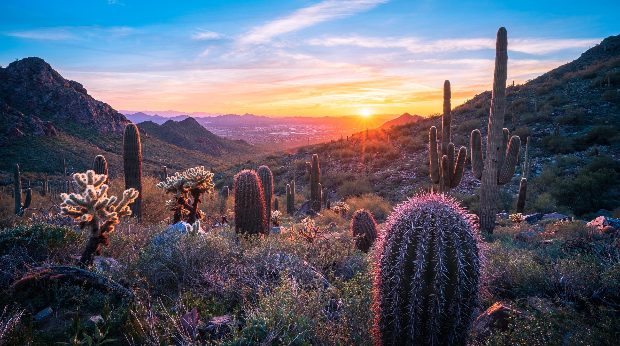 Tucson, Arizona